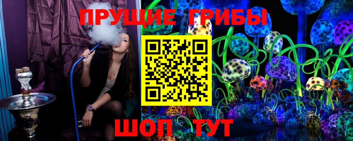Псилоцибиновые грибы GOLDEN TEACHER  Вход с VPN  Кудрово  Галлюциногенные грибы Psilocybine cubensis 
