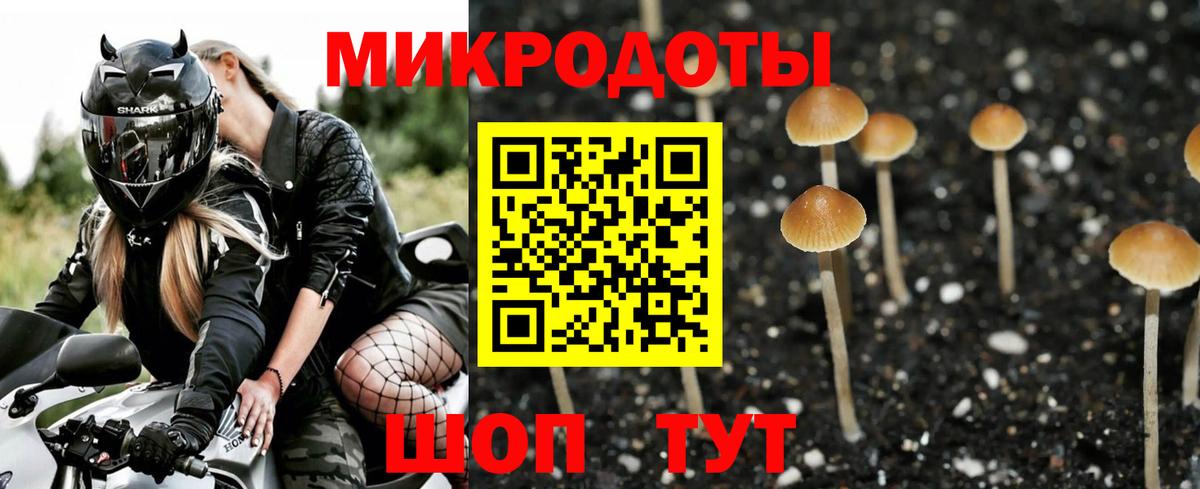 Псилоцибиновые грибы мицелий Кудрово