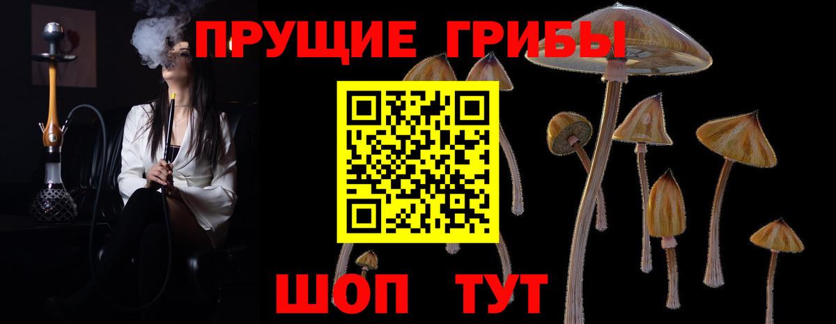 Кетамин  Экстази  Вход с VPN  Cocaine  LSD-25  Кудрово  Гашиш  МАРИХУАНА  Альфа ПВП СОЛЬ кристаллы  Мефедрон кристаллы 